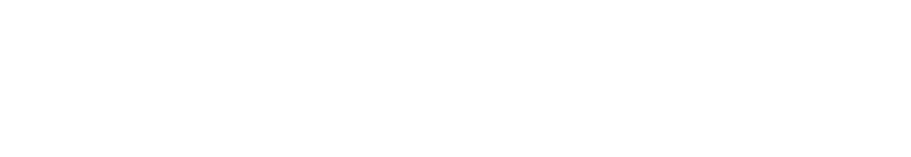 PERFORMANCE